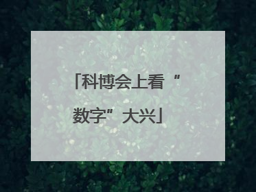科博会上看“数字”大兴