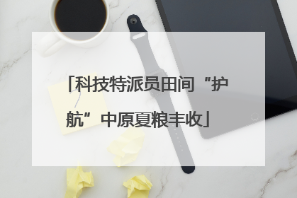 科技特派员田间“护航”中原夏粮丰收