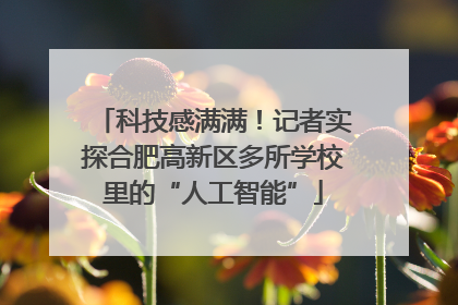科技感满满！记者实探合肥高新区多所学校里的“人工智能”