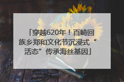 穿越620年！百崎回族乡郑和文化节沉浸式“活态”传承海丝基因