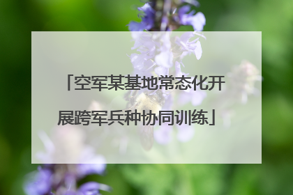 空军某基地常态化开展跨军兵种协同训练