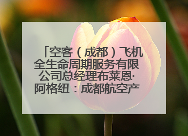 空客（成都）飞机全生命周期服务有限公司总经理布莱恩·阿格纽：成都航空产业生态完备，营商环境优势显著