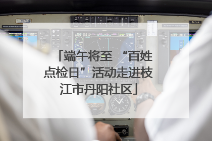 端午将至 “百姓点检日”活动走进枝江市丹阳社区