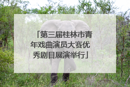 第三届桂林市青年戏曲演员大赛优秀剧目展演举行