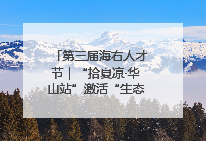 第三届海右人才节｜“拾夏凉·华山站”激活“生态聚才”强磁场
