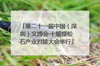 第二十一届中国（深圳）文博会·十堰绿松石产业对接大会举行
