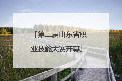 第二届山东省职业技能大赛开幕