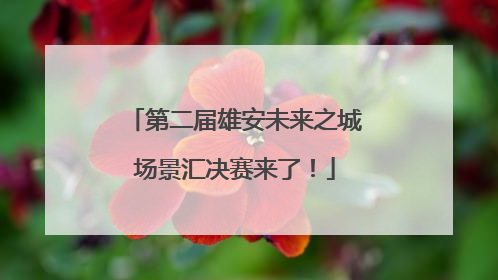 第二届雄安未来之城场景汇决赛来了！