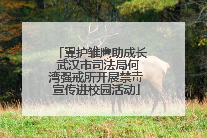 翼护雏鹰助成长 武汉市司法局何湾强戒所开展禁毒宣传进校园活动