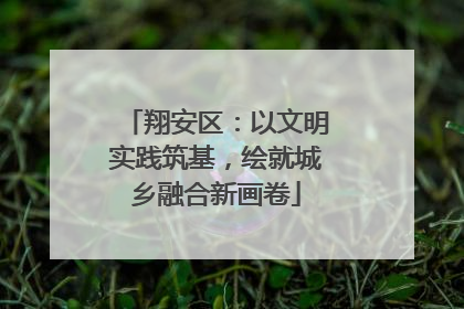 翔安区：以文明实践筑基，绘就城乡融合新画卷