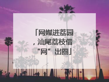 网媒进荔园，汕尾荔枝借“网”出圈