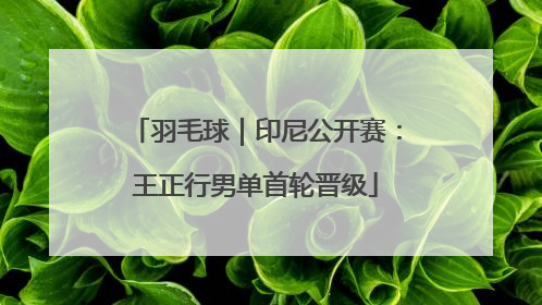 羽毛球｜印尼公开赛：王正行男单首轮晋级