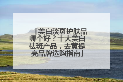 美白淡斑护肤品哪个好？十大美白祛斑产品，去黄提亮品牌选购指南
