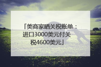 美商家晒关税账单：进口3000美元付关税4600美元