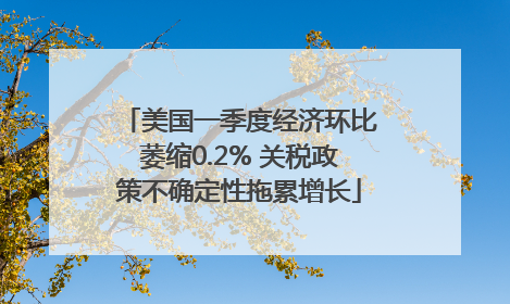 美国一季度经济环比萎缩0.2% 关税政策不确定性拖累增长