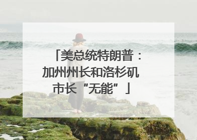美总统特朗普：加州州长和洛杉矶市长“无能”