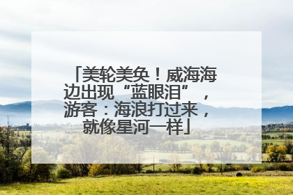 美轮美奂！威海海边出现“蓝眼泪”，游客：海浪打过来，就像星河一样