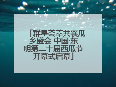 群星荟萃共襄瓜乡盛会 中国·东明第二十届西瓜节开幕式启幕