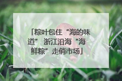粽叶包住“海的味道” 浙江沿海“海鲜粽”走俏市场