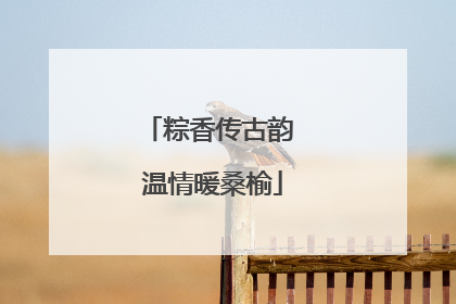 粽香传古韵 温情暖桑榆