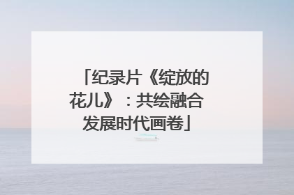 纪录片《绽放的花儿》：共绘融合发展时代画卷
