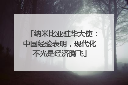纳米比亚驻华大使：中国经验表明，现代化不光是经济腾飞