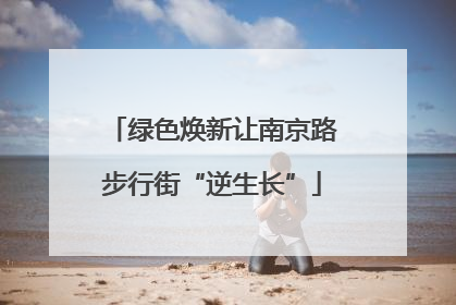 绿色焕新让南京路步行街“逆生长”
