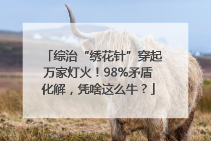 综治“绣花针”穿起万家灯火！98%矛盾化解，凭啥这么牛？