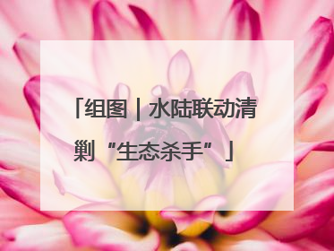 组图｜水陆联动清剿“生态杀手”