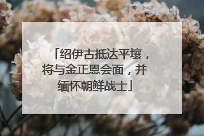 绍伊古抵达平壤，将与金正恩会面，并缅怀朝鲜战士