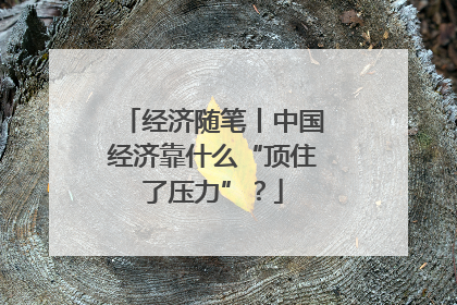 经济随笔丨中国经济靠什么“顶住了压力”？