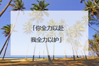 你全力以赴 我全力以护