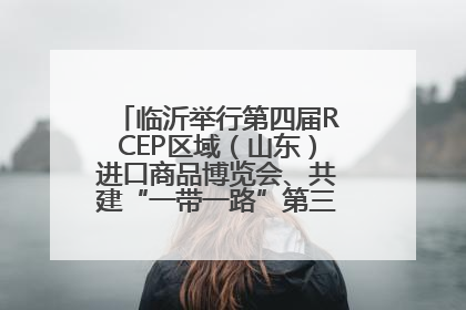 临沂举行第四届RCEP区域（山东）进口商品博览会、共建“一带一路”第三届临沂商城国际采购商大会新闻发布会