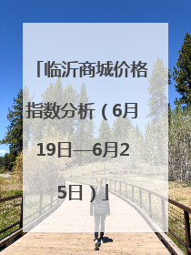 临沂商城价格指数分析（6月19日—6月25日）