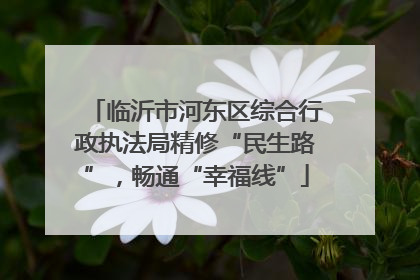 临沂市河东区综合行政执法局精修“民生路”，畅通“幸福线”