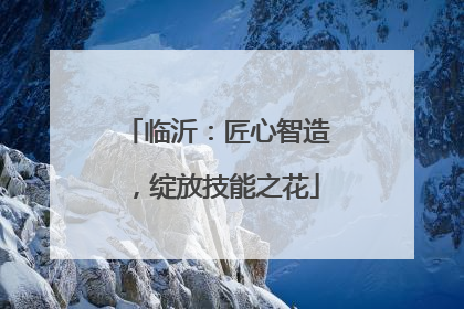 临沂：匠心智造，绽放技能之花
