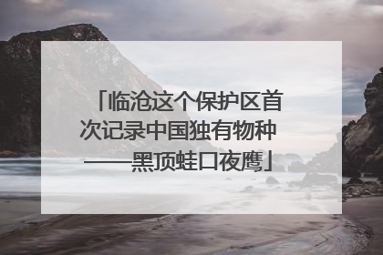 临沧这个保护区首次记录中国独有物种——黑顶蛙口夜鹰
