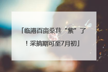 临港百亩桑葚“紫”了！采摘期可至7月初
