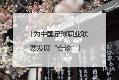 为中国足球职业联赛发展“会诊”
