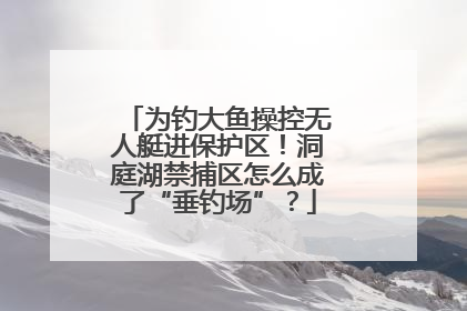 为钓大鱼操控无人艇进保护区！洞庭湖禁捕区怎么成了“垂钓场”？