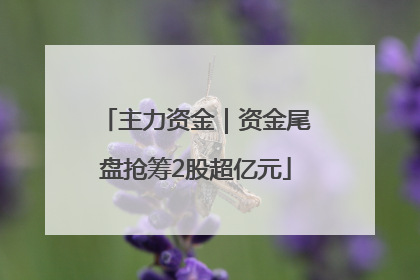 主力资金｜资金尾盘抢筹2股超亿元