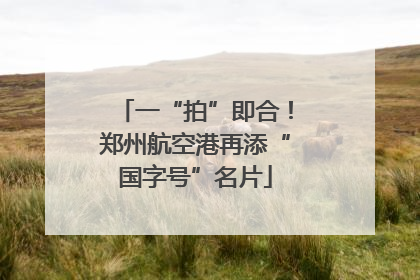 一“拍”即合！郑州航空港再添“国字号”名片