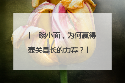 一碗小面，为何赢得壶关县长的力荐？