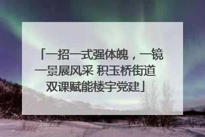 一招一式强体魄，一镜一景展风采 积玉桥街道双课赋能楼宇党建