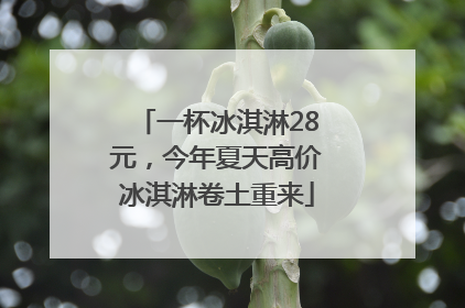 一杯冰淇淋28元，今年夏天高价冰淇淋卷土重来