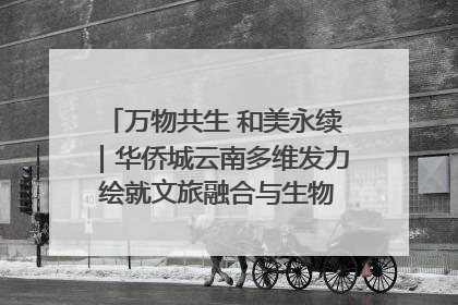 万物共生 和美永续｜华侨城云南多维发力 绘就文旅融合与生物多样性保护新图景