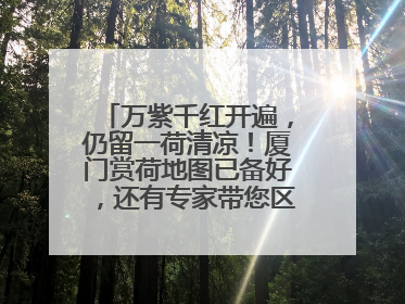 万紫千红开遍，仍留一荷清凉！厦门赏荷地图已备好，还有专家带您区分荷与莲→