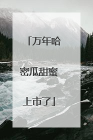 万年哈密瓜甜蜜上市了