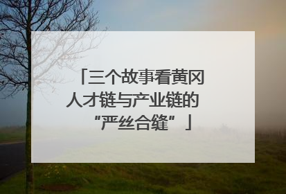 三个故事看黄冈人才链与产业链的“严丝合缝”
