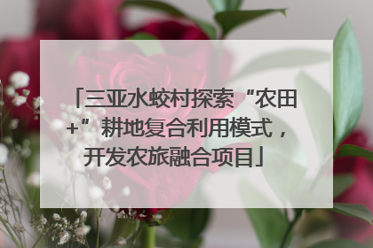 三亚水蛟村探索“农田+”耕地复合利用模式，开发农旅融合项目